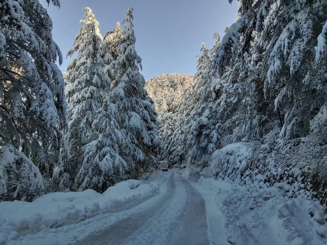 Oakwood Hotels Chail Zewnętrze zdjęcie